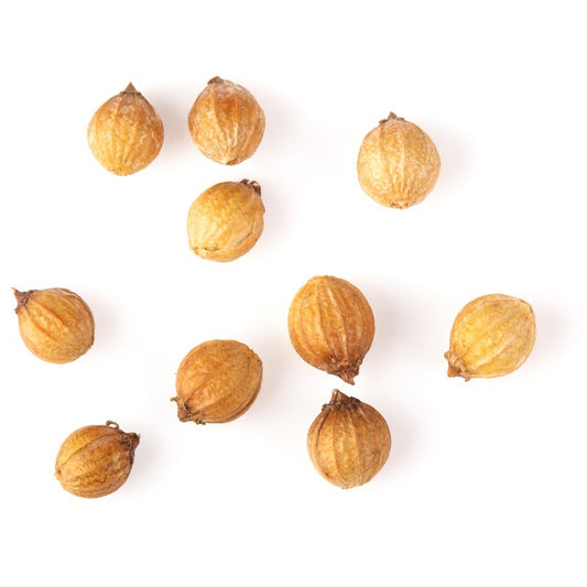 Coriandrum sativum seed