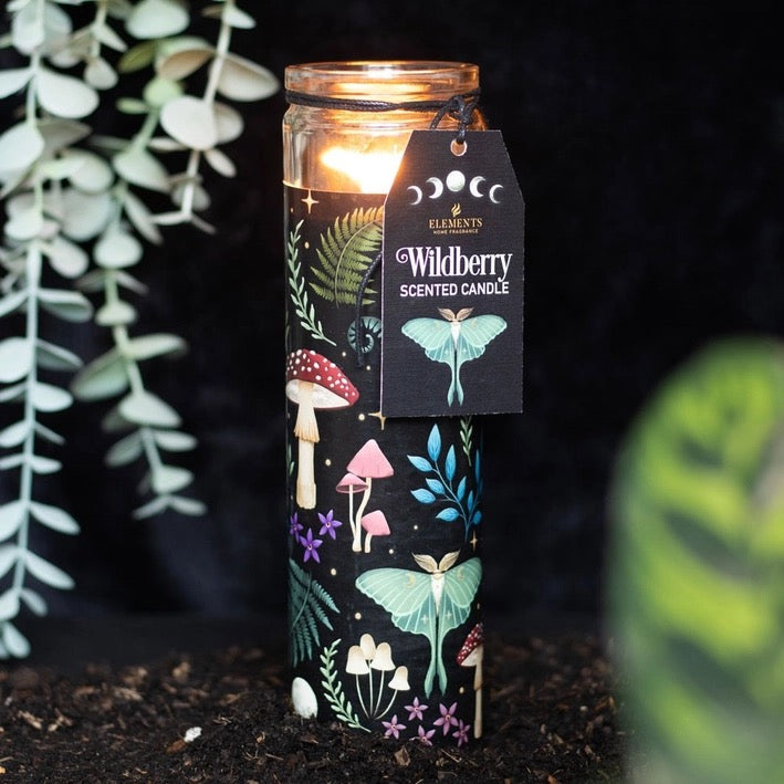 Candle with a decorative label and illustrations, surrounded by plants.