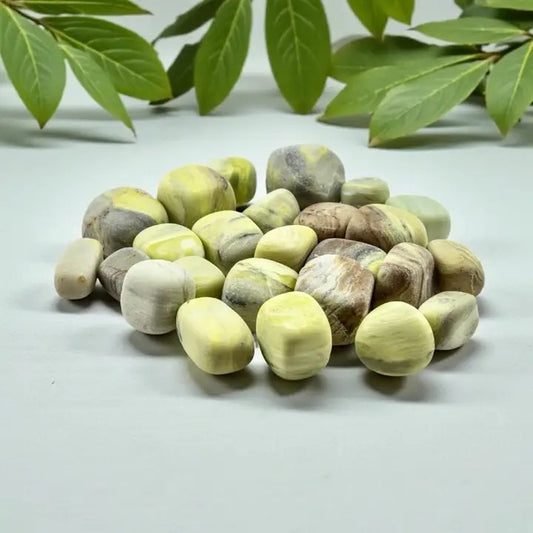 Pile of nuts on a light surface with green leaves in the background