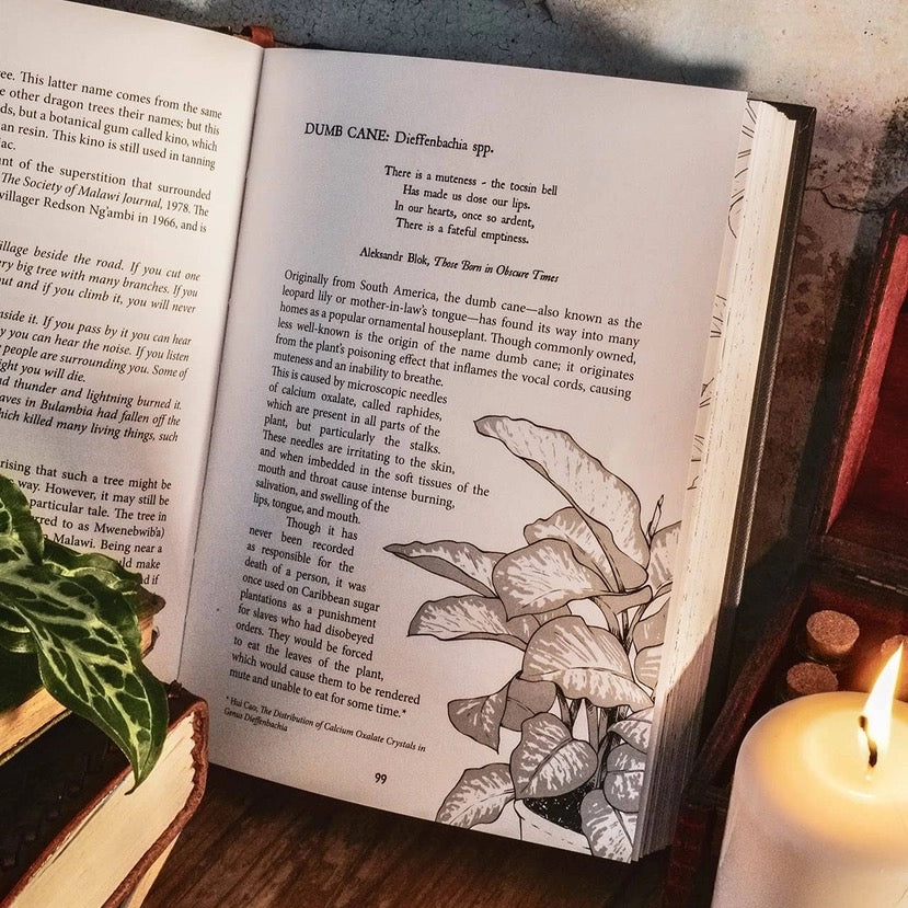 Open book with botanical illustration on a wooden surface with a candle