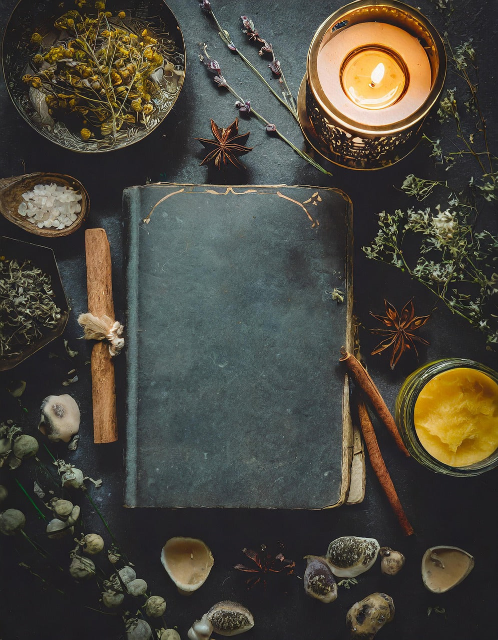 Journal, candle, herbs in bowls, salt, shells, and herbs on a table
