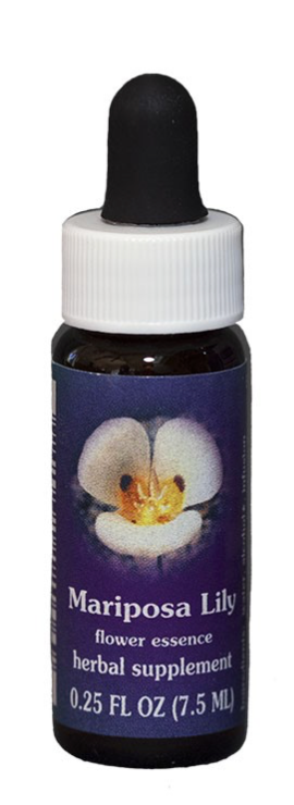 Flower Essence Mariposa Lily