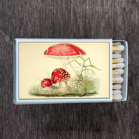 Matchbox Mushroom Fly Agaric with undergrowth, red and green, yellows