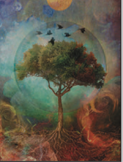 Greeting Card Tree of Life Blank