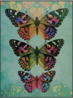 Greeting Card Butterfly Three Blank