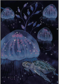 Greeting Card Jelly Fish Turtle Blank