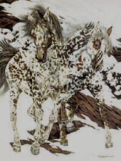 Greeting Card Horses Snow Palamino Blank