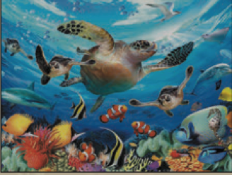 Greeting Card Turtle Fish Birthday