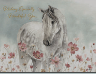 Greeting Card Horse Poppies Birthday