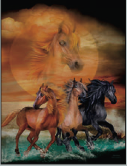 Greeting Card Horses Sky Spirit Birthday