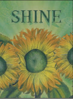Greeting Card Sunflower Shine Get Well