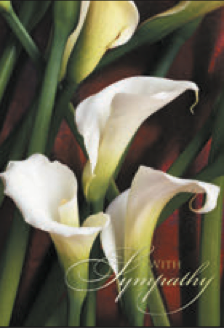 Greeting Card Calla Lily Sympathy