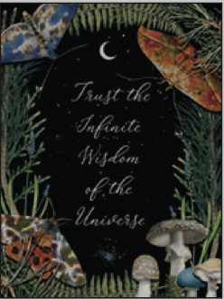 Greeting Card Mushroom Moth Night Encouragement