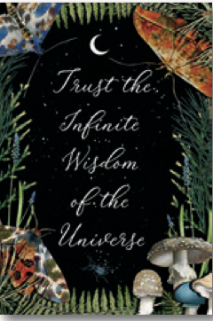 Magnet Trust the Infinite