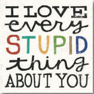 Magnet I Love Every Stupid Thing