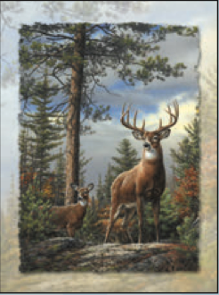 Greeting Card Stag & Doe Birthday