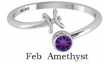 Silver ring with a purple gemstone labeled 'Feb Amethyst' on a white background