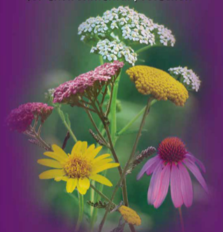 Flower Essence Yarrow Environmental Solution FES