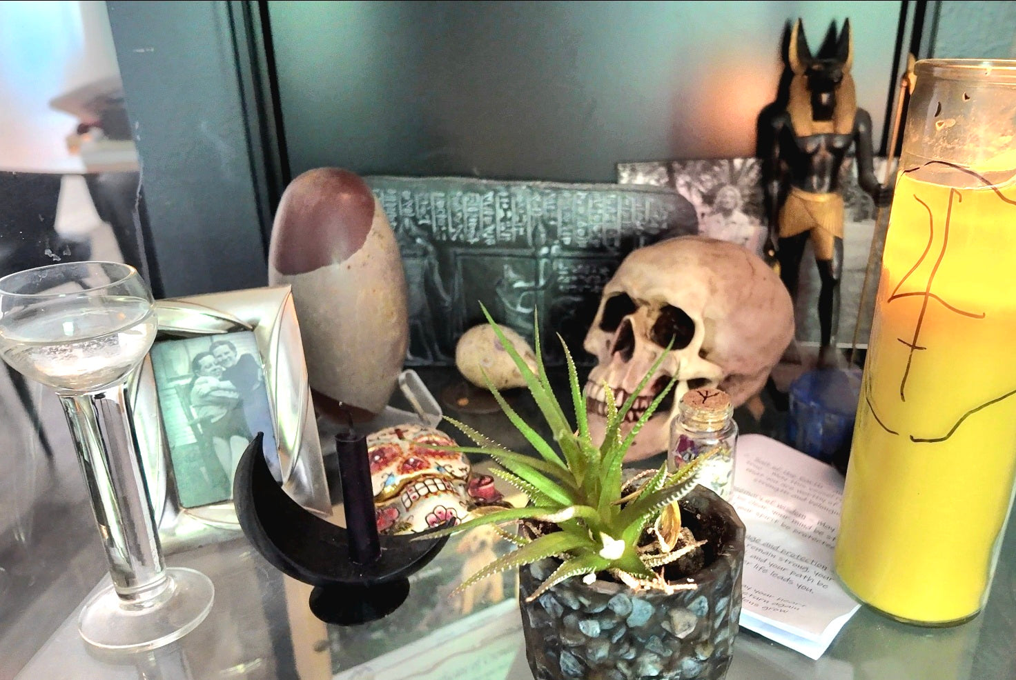 A tabletop display featuring a small potted succulent in a dark stone planter, a human skull, a yellow candle with black markings, a clear stemmed glass, and other gothic decorative items against a dark background.