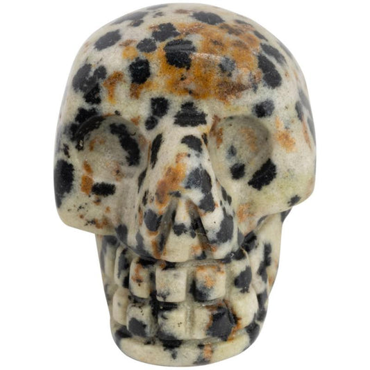 Stone Skull Dalmatian Jasper