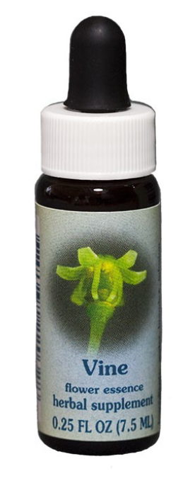 Flower Essence Vine