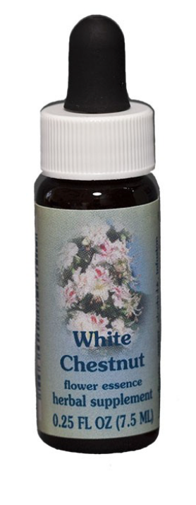 Flower Essence White Chestnut