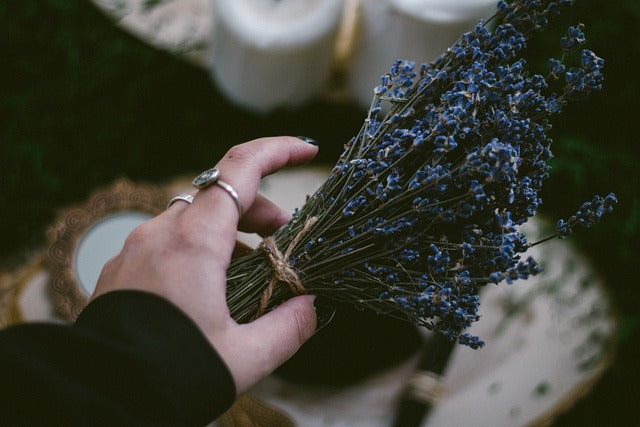 Hand holding a bundle of dried Lavender flower stems, with candles in the background.