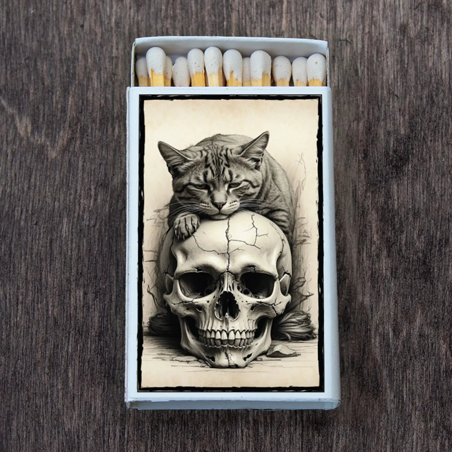 open matchbow with relaxed cat on skull, black and white