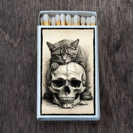 open matchbow with relaxed cat on skull, black and white