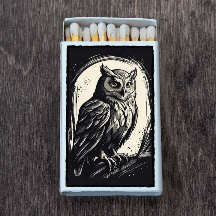 black and white owl