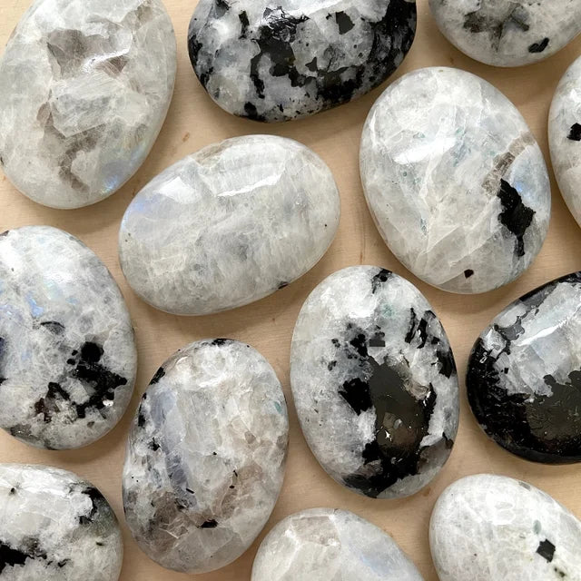 palm shaped white stones with rainbow flash and black spots