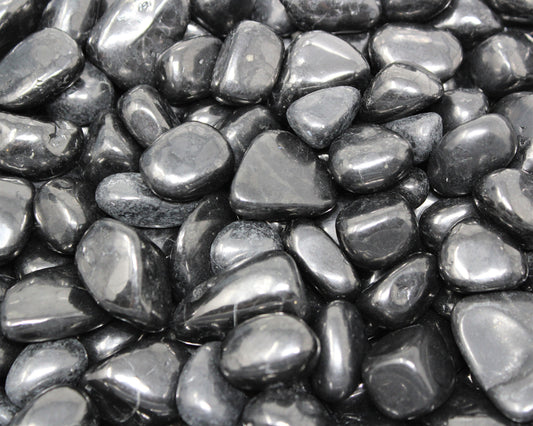 Shungite Tumbled 4.00