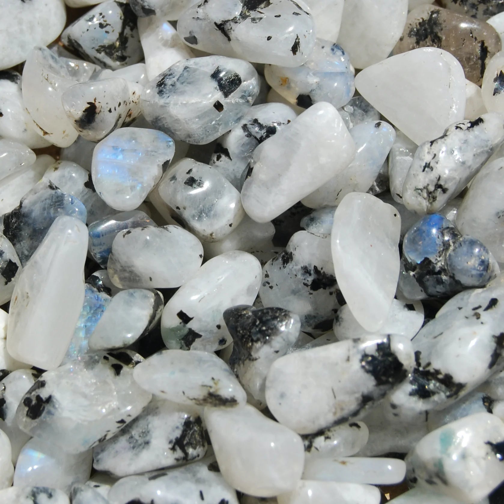 Close-up of white stones with rainbow flash and black spots