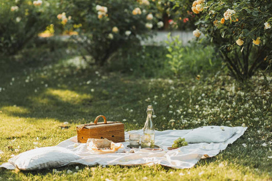 Summer Lovin' Oil Kit